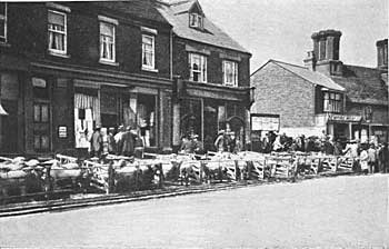 Around 1914. Cattle market outside Gilbys & Moss's shops.