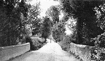 c1907 Water Eaton Lane and Bridge over Brook
