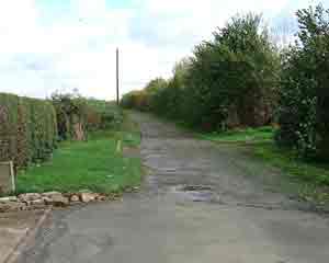 The lane to Gowles Farm