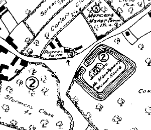 Part of the reconstructed map showing the village in 1580