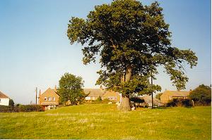 Tumulus at the corner of Crofts End and Bedford Road