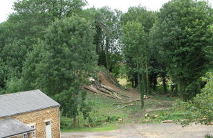 Tree felling, August 2006
