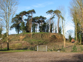 Most trees removed, March 2007
