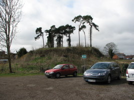 Some more trees removed, March 2009