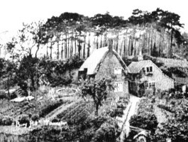 Bury Mount c.1910
